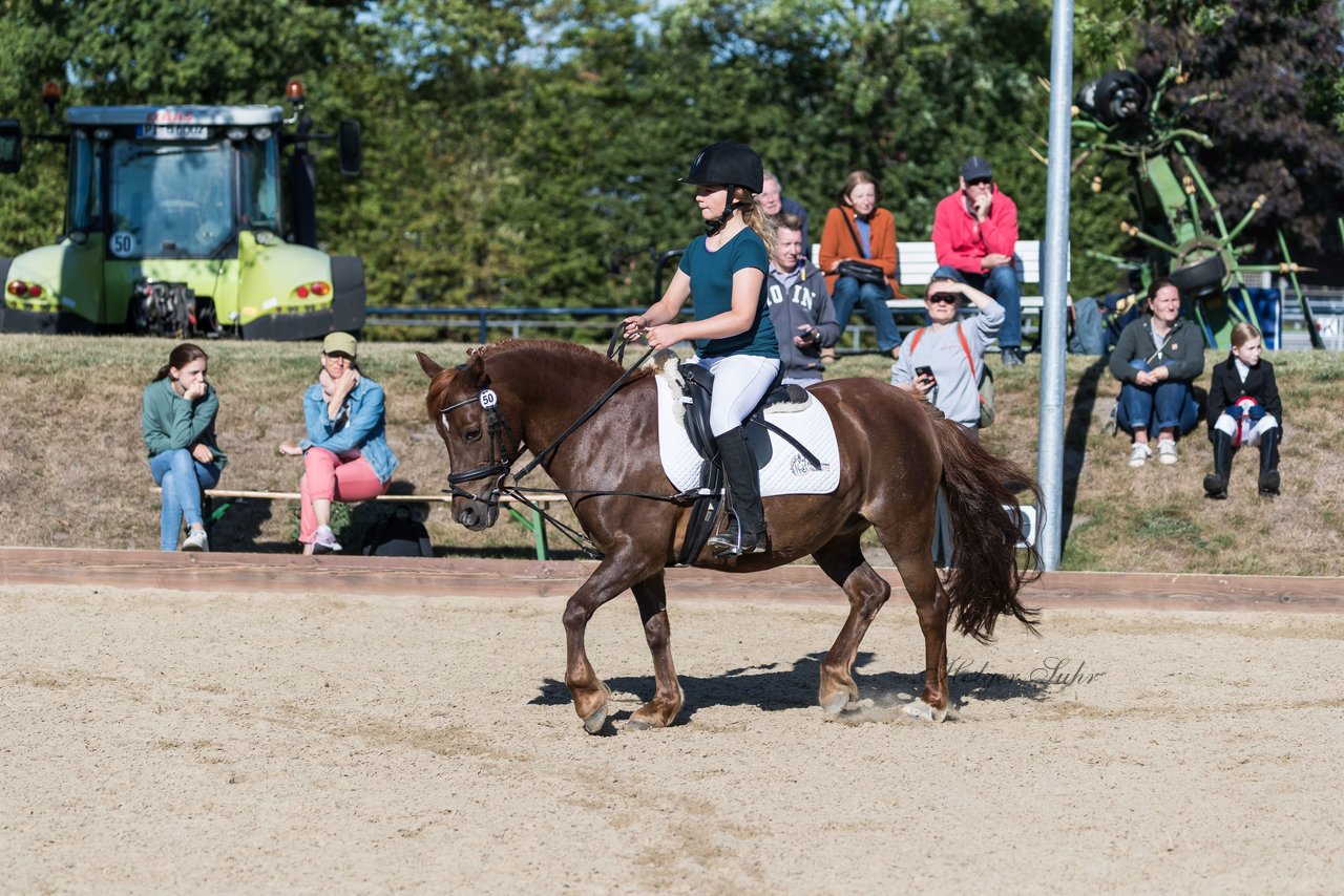 Bild 30 - Pony Akademie Turnier